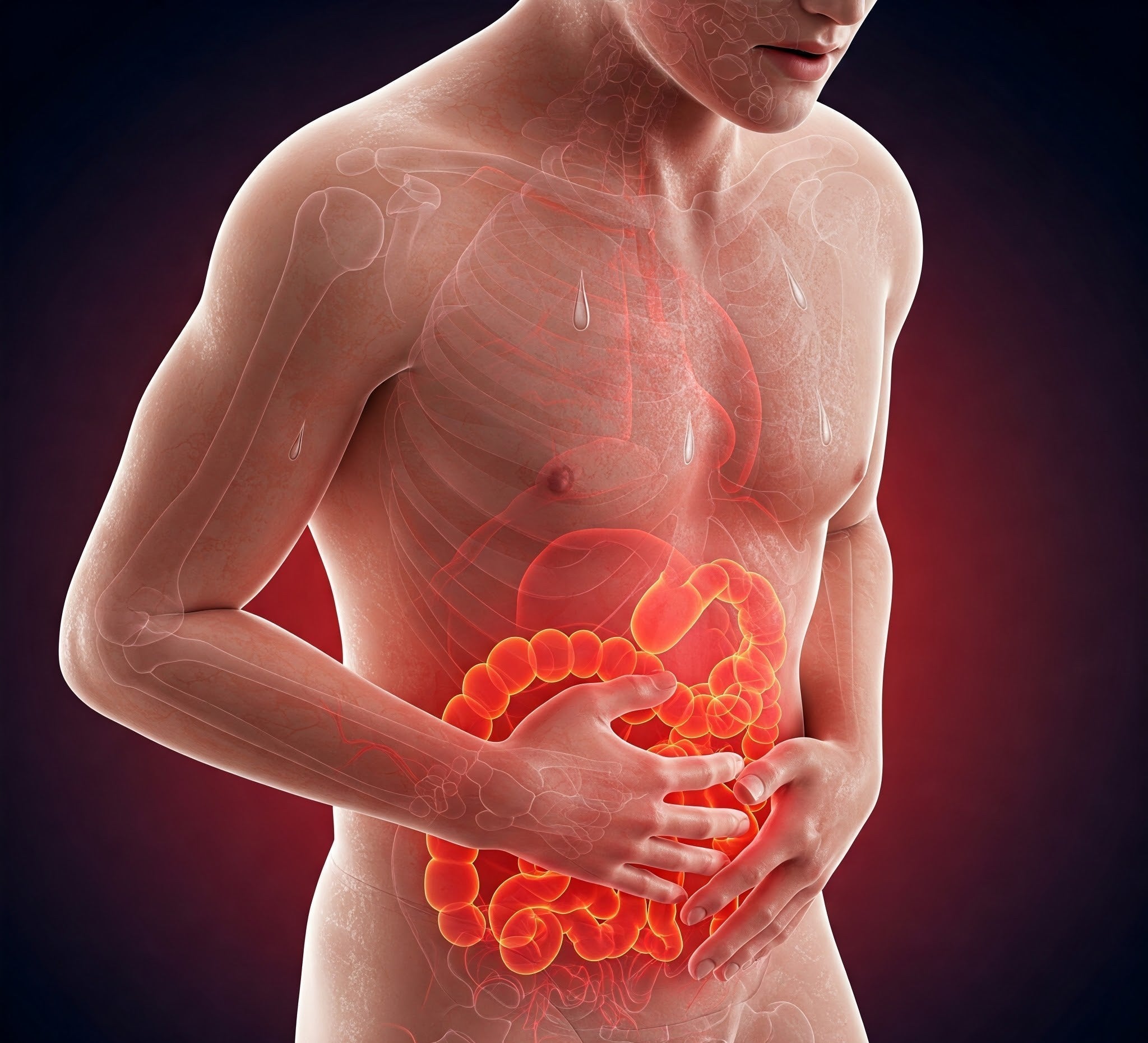 How Long Does Escherichia Coli Last in Your System?