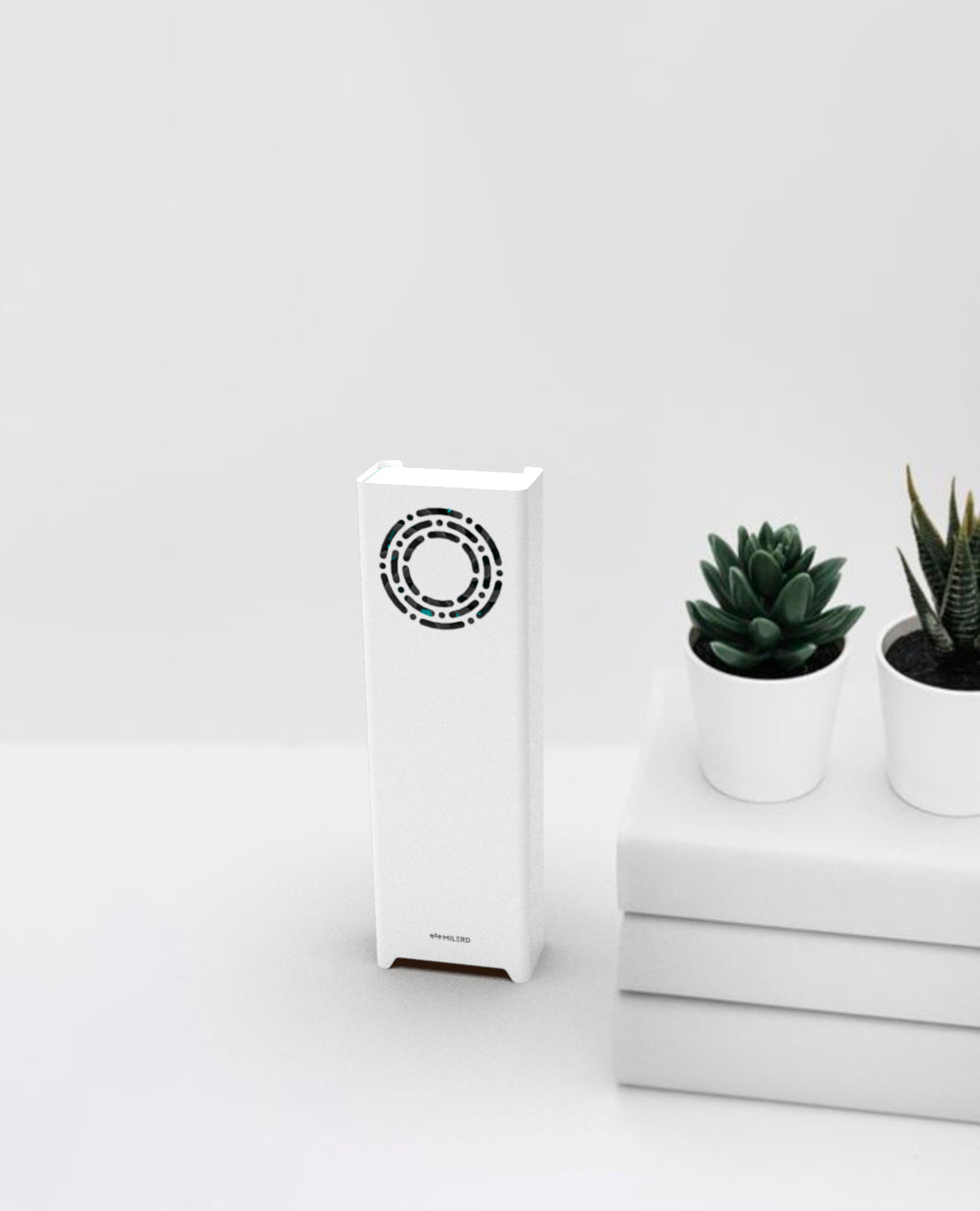 dzr 2 mini near plant