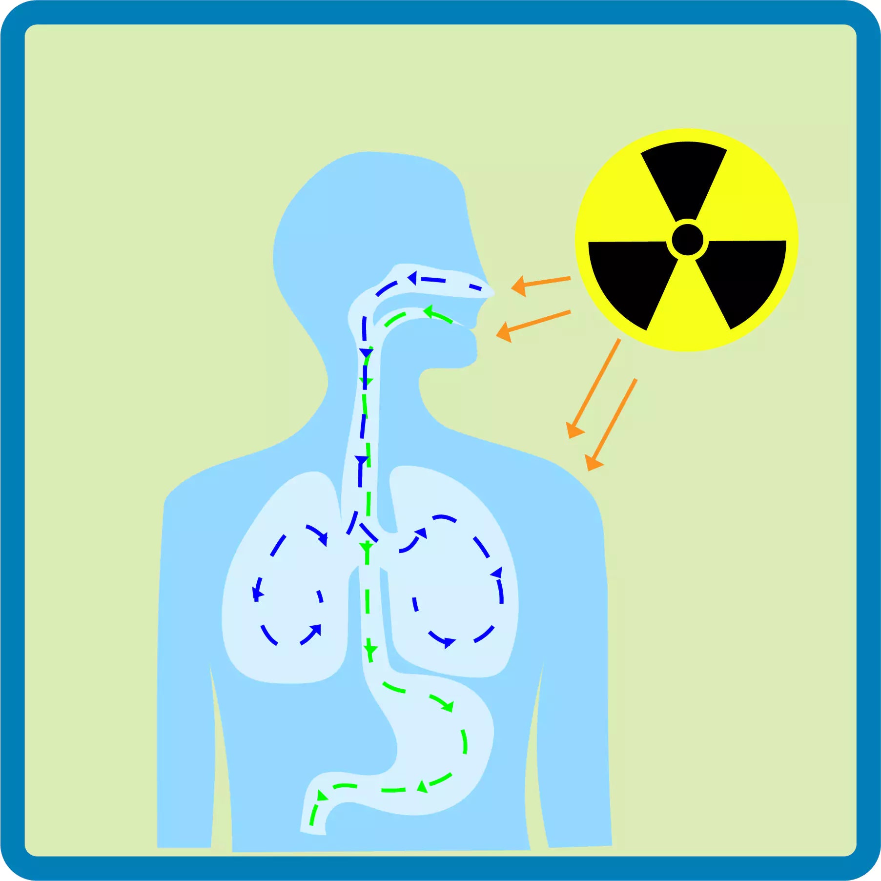 ionizing radiation impact on human's body