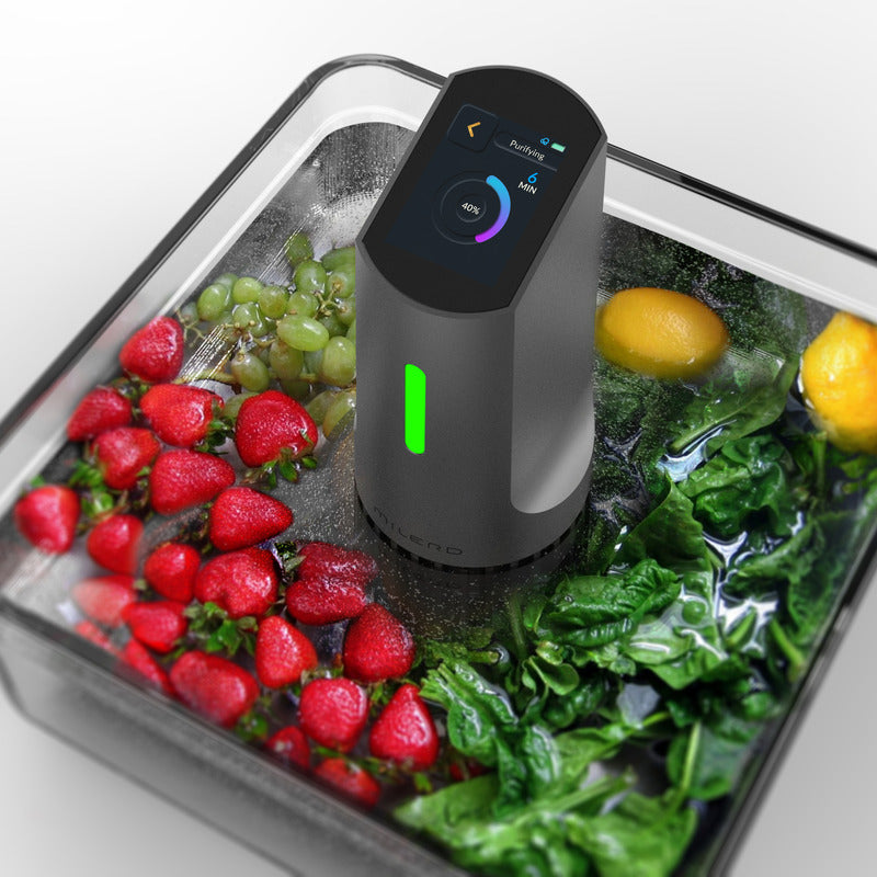 food detoxifier machine