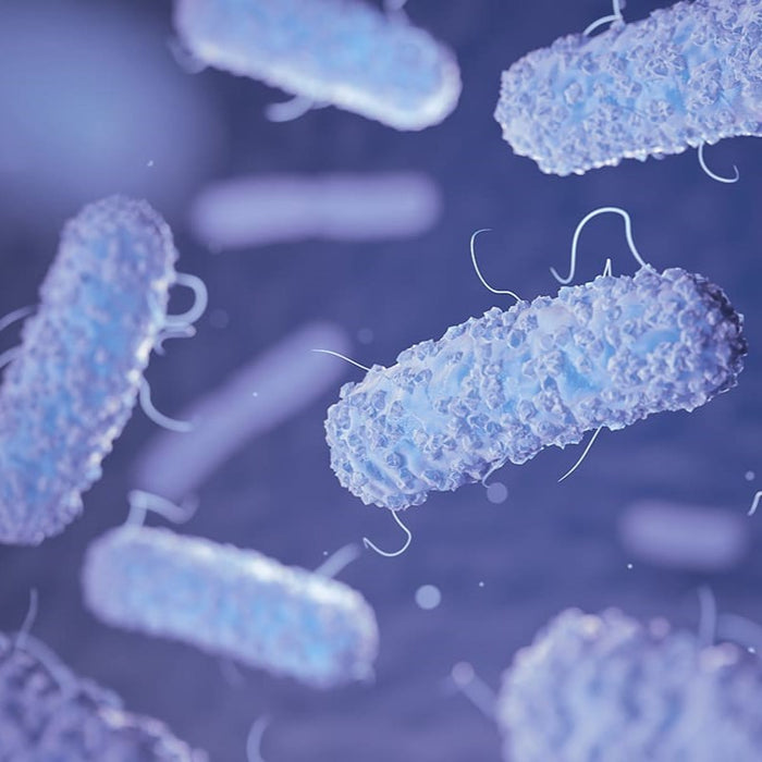 L'Escherichia coli può contaminare frutta e verdura?