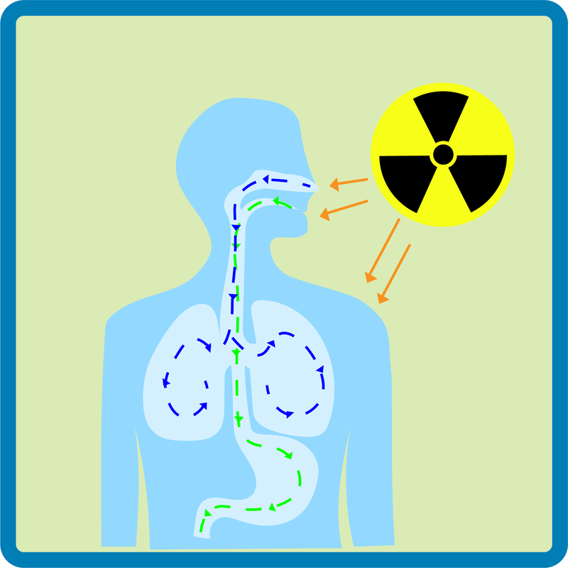 radiation exposure on human body