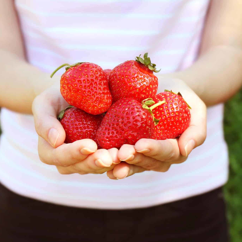 unwashed strawberry