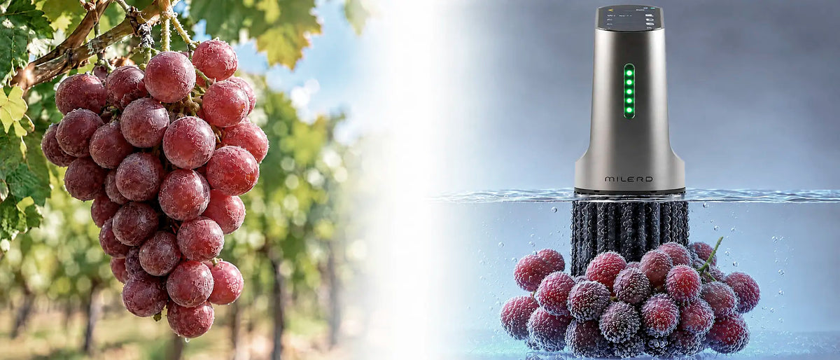Detoxer pesticide grapes before and after